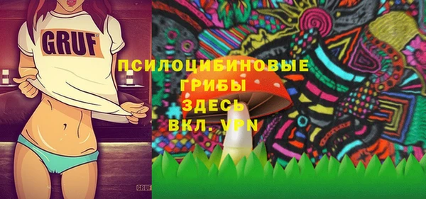 молекула духа Алзамай