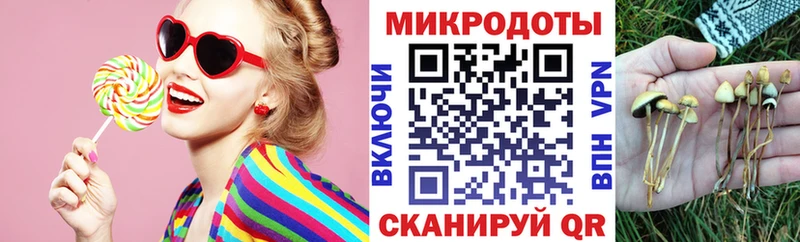 гидра ТОР  Талица  Галлюциногенные грибы ЛСД 